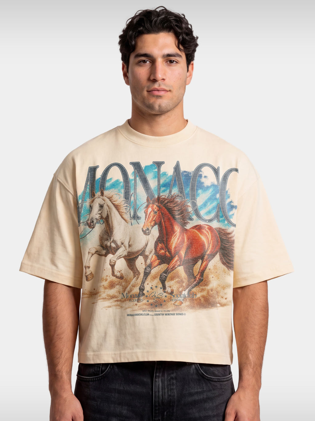 Run Wild ivory boxy tee worn by model, front view with two galloping horses and blue sky print.