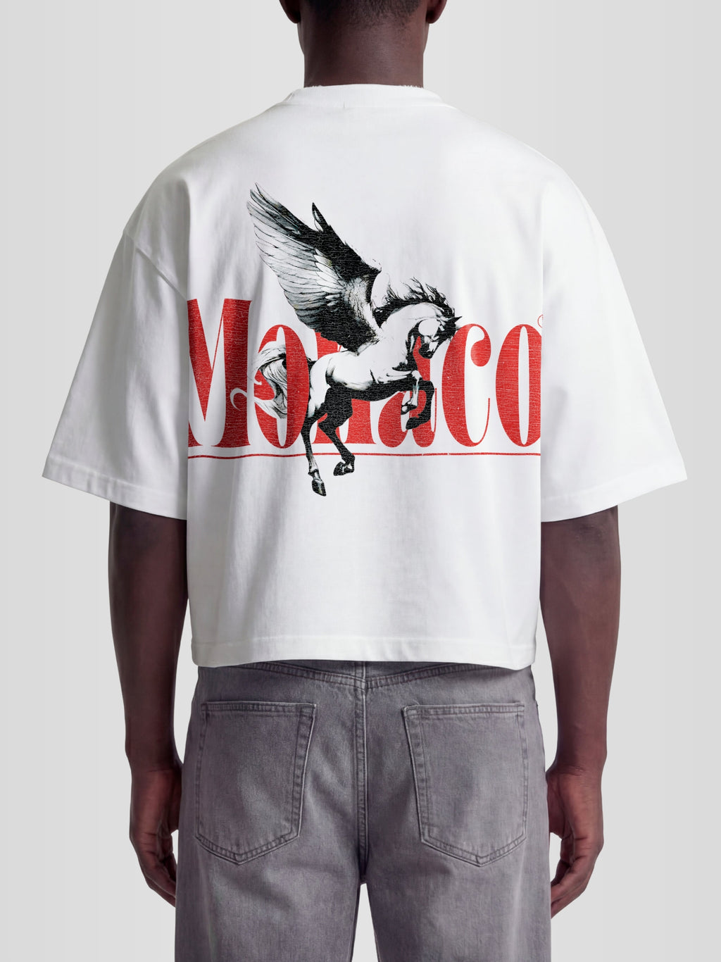 PEGASUS TEE