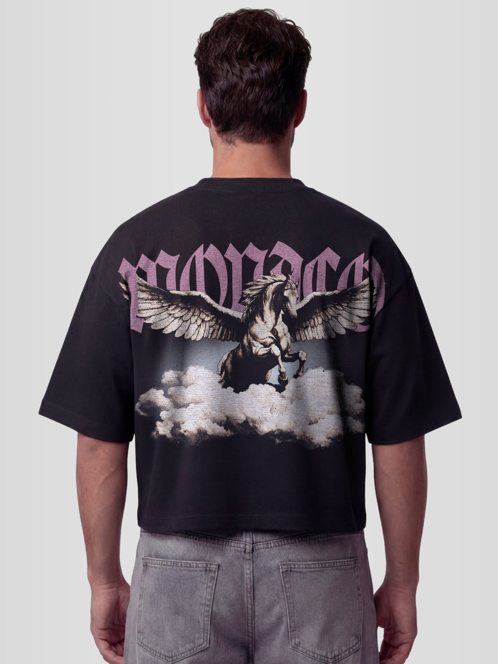 THE OLYMPUS TEE