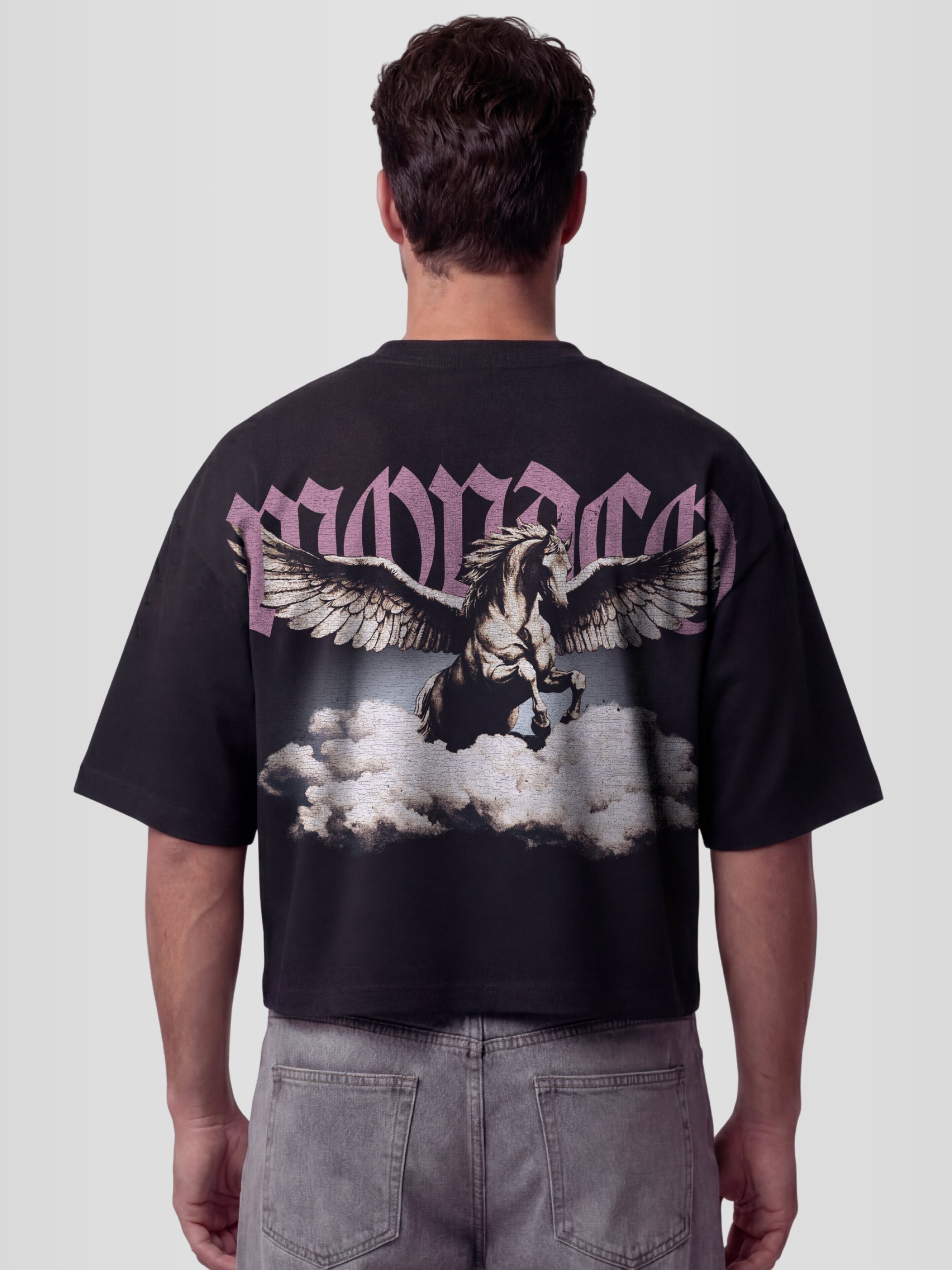 THE OLYMPUS TEE