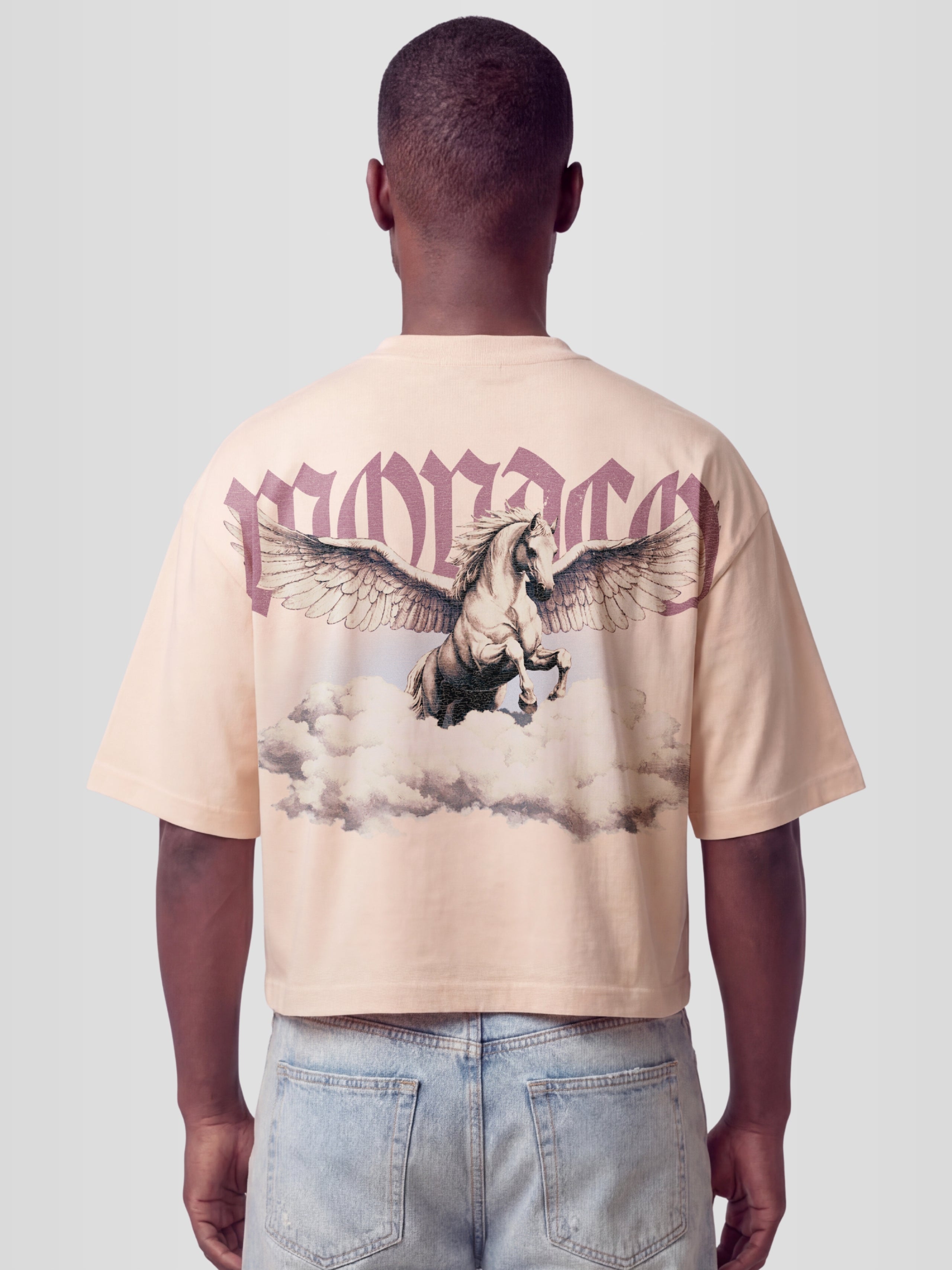 THE OLYMPUS TEE